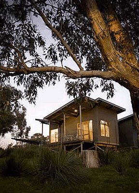 Longview Vineyard - Accommodation QLD 1