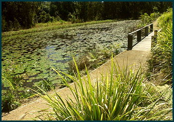 Aba Abode - Accommodation QLD 3