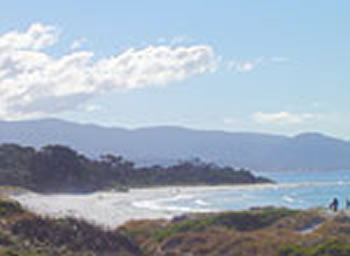 Bicheno On The Beach - Accommodation QLD 5