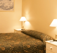 Best Western Abel Tasman Airport Motor Inn - Accommodation QLD