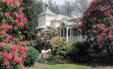 Anabel's of Scottsdale - Accommodation QLD