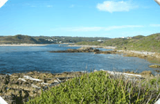 Arthur River Cabin Park - Accommodation QLD 5