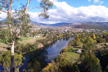 Rosie's Inn - Accommodation QLD 2