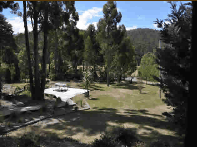 Oyster Cove Chalet - Accommodation QLD 1