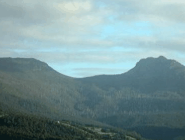 Crabtree House Heritage Suites - Accommodation QLD 4