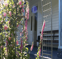 Devonport Bed And Breakfast - Accommodation QLD