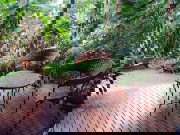Abbazia Rainforest Studio - Accommodation QLD 3