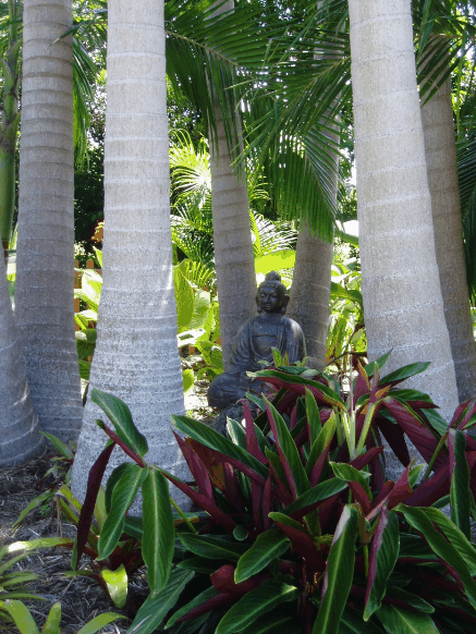 Amber Gardens Guesthouse - Accommodation QLD 3