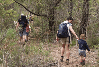 Bicheno East Coast Holiday Park - Accommodation QLD 3