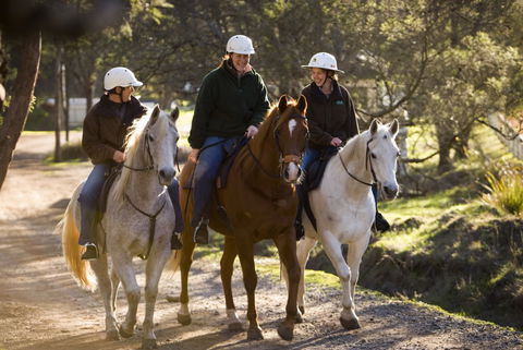 Country Club Tasmania - Accommodation QLD 4