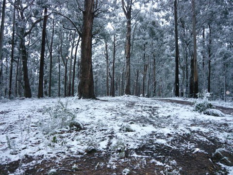 High Peaks Cottages - Accommodation QLD 0
