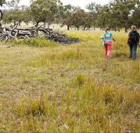 Carnarvon National Park camping - Accommodation QLD
