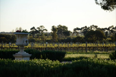 Angas Plains Estate Wines Heritage Suite - Accommodation QLD 6