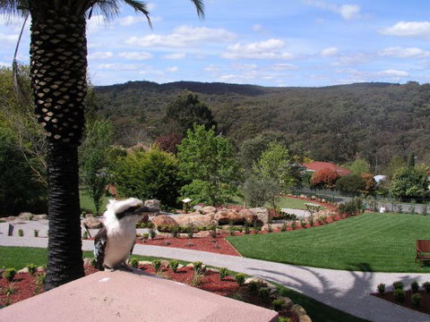 Grange Bellinzona - Accommodation QLD 4