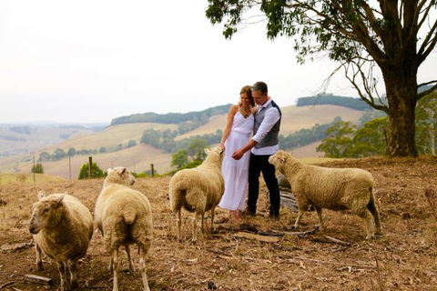 Halcyon Cottage Retreat - Self Contained Accommodation - Accommodation QLD 2