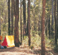 Nanga Mill Camp at Lane Poole Reserve - Accommodation QLD