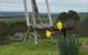 Pear Tree Hollow - thumb 4