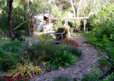Pear Tree Hollow - Accommodation QLD 8