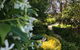 The Reserve Barossa Valley - thumb 4
