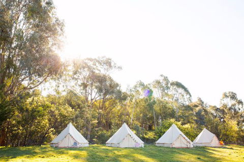 Happy Glamper Mornington Peninsula - Accommodation QLD 2