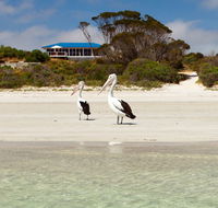 Kangaroo Island Star Beach House - Accommodation QLD