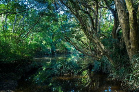 All About Me Bed And Breakfast - Accommodation QLD 9