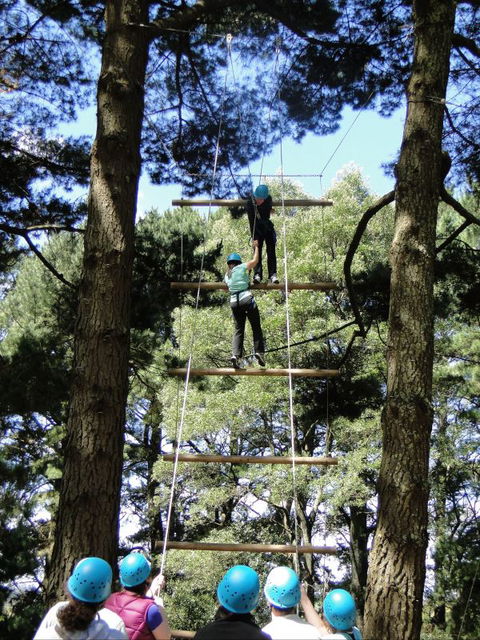 Allambee Camp - Accommodation QLD 9