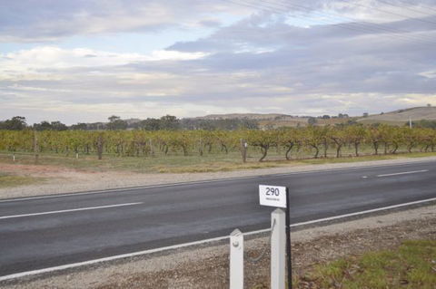 Almond Tree Cottage - Accommodation QLD 5