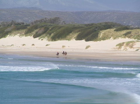 Arties Cottage Accommodation - Accommodation QLD 5