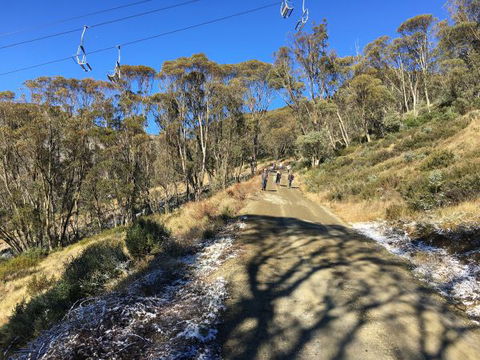 Arrabri Ski Club Hotham - Accommodation QLD 1