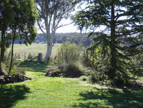 Avaleigh Elms Farmstay - Accommodation QLD 1