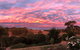 Avaleigh Elms Farmstay - thumb 5