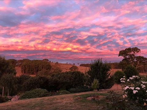 Avaleigh Elms Farmstay - Accommodation QLD 5
