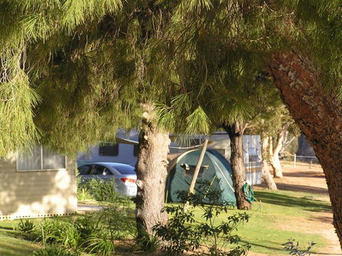 Barmera North Lake Caravan Park - Accommodation QLD 0