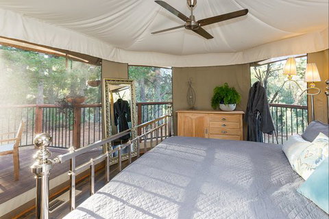 Beechworth Wildlife Stays - Accommodation QLD 1