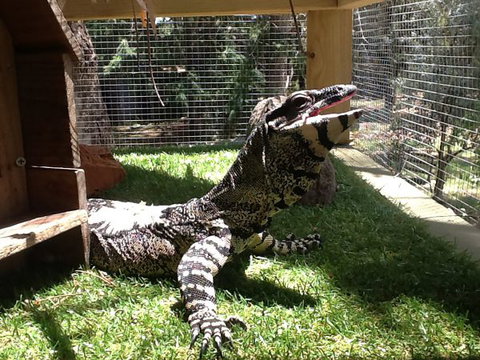 Beechworth Wildlife Stays - Accommodation QLD 6