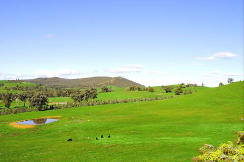 Winton Bethal Accommodation Unit - Accommodation QLD 3