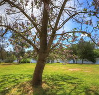 Breakaway Twin Rivers Caravan Park - Accommodation QLD
