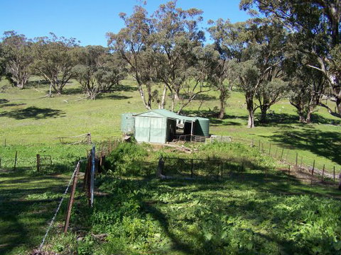 Catninga Mountain Camp Hut - Accommodation QLD 7