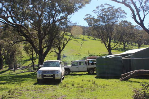 Catninga Mountain Camp Hut - Accommodation QLD 8