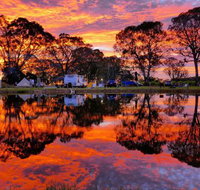 Coonawarra Bush Holiday Park - Accommodation QLD