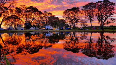 Coonawarra Bush Holiday Park - Accommodation QLD 0