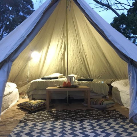 Coonawarra Bush Holiday Park - Accommodation QLD 1
