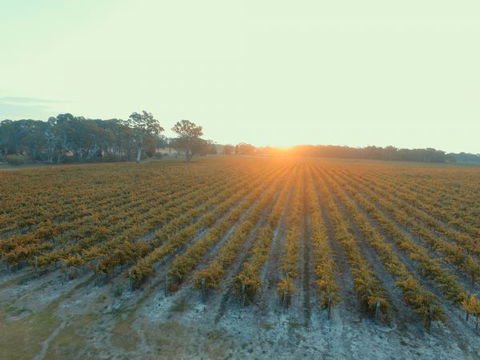 Coonawarra Bush Holiday Park - Accommodation QLD 7