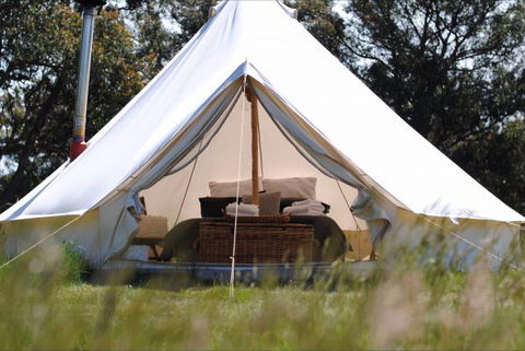 Cosy Tents - Accommodation QLD 4