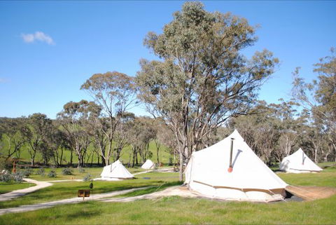 Cosy Tents - Accommodation QLD 5