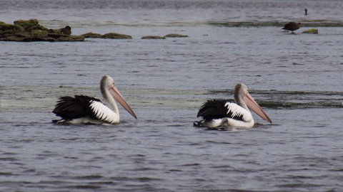 Douglas Riverside - Accommodation QLD 7