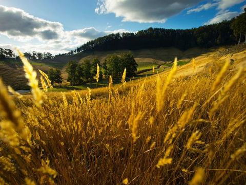 Frenchman's River - The Writer's House - Accommodation QLD 9