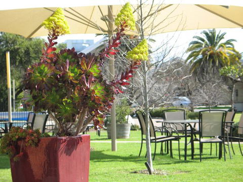 Golden Chain Wine Village Motor Inn - Accommodation QLD 3