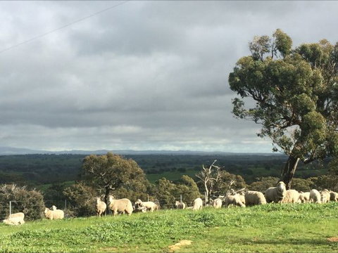 Heathcote Views Bed & Breakfast - Accommodation QLD 5